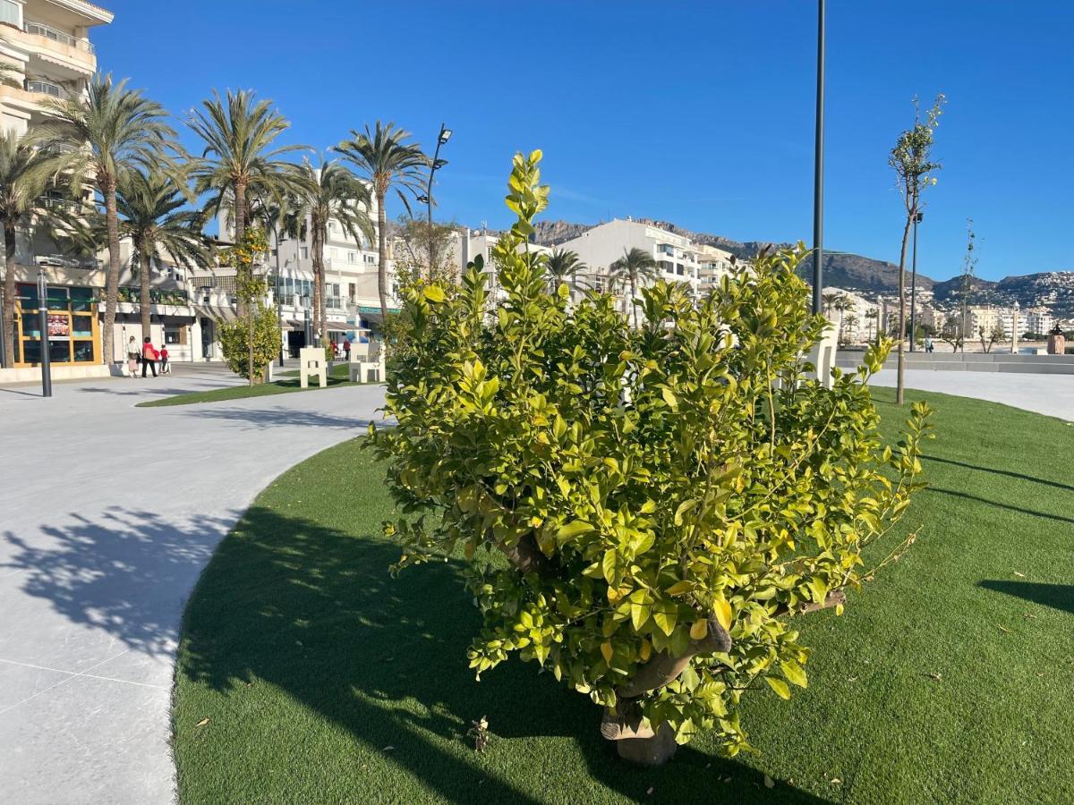 Apartamento Alteagroup Centro Bagian luar foto